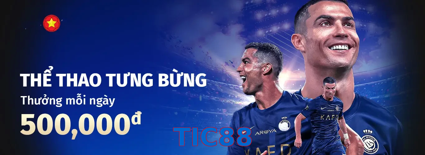 TIC88