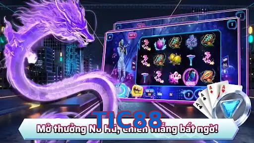 TIC88