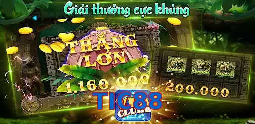 TIC88