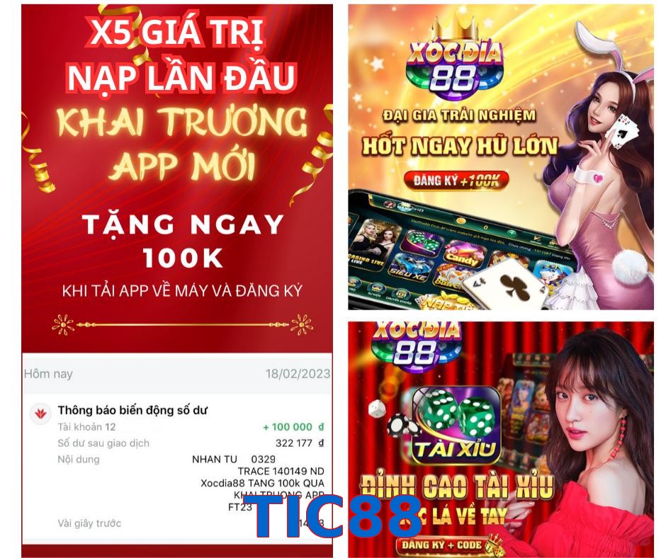 TIC88